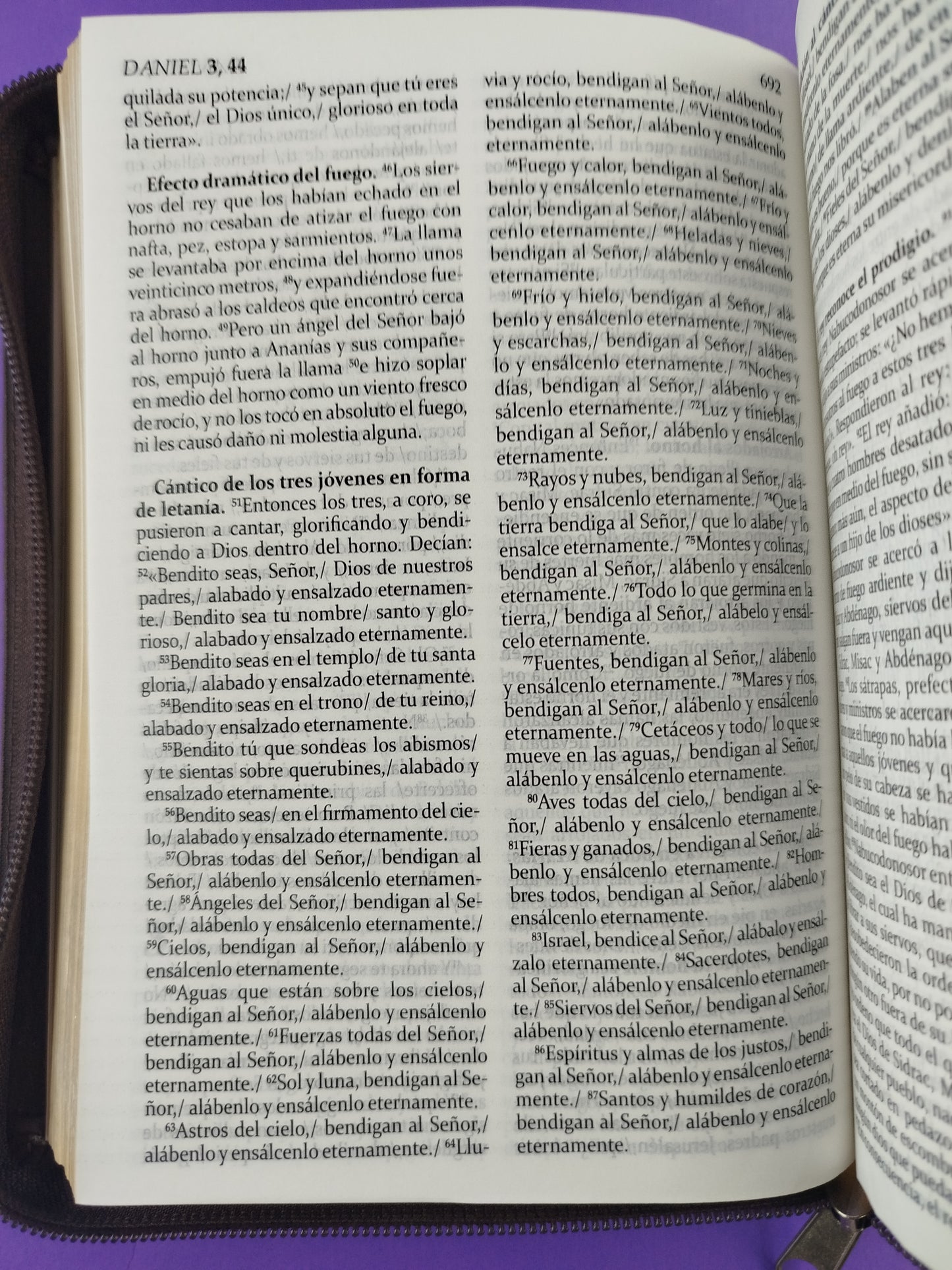 La sagrada biblia de américa estuche café