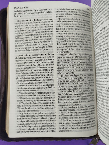 La sagrada biblia de américa estuche café
