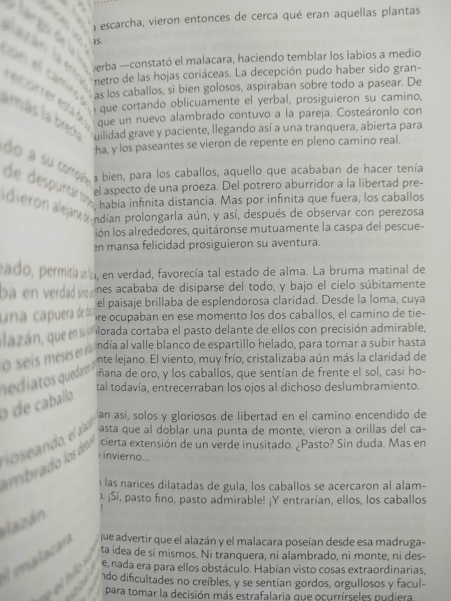 El solitario y otros cuentos by Horacio Quiroga