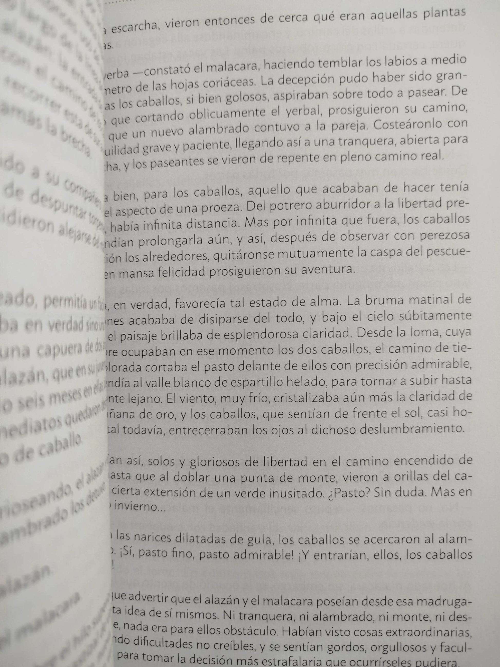 El solitario y otros cuentos by Horacio Quiroga