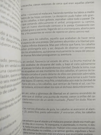 El solitario y otros cuentos by Horacio Quiroga