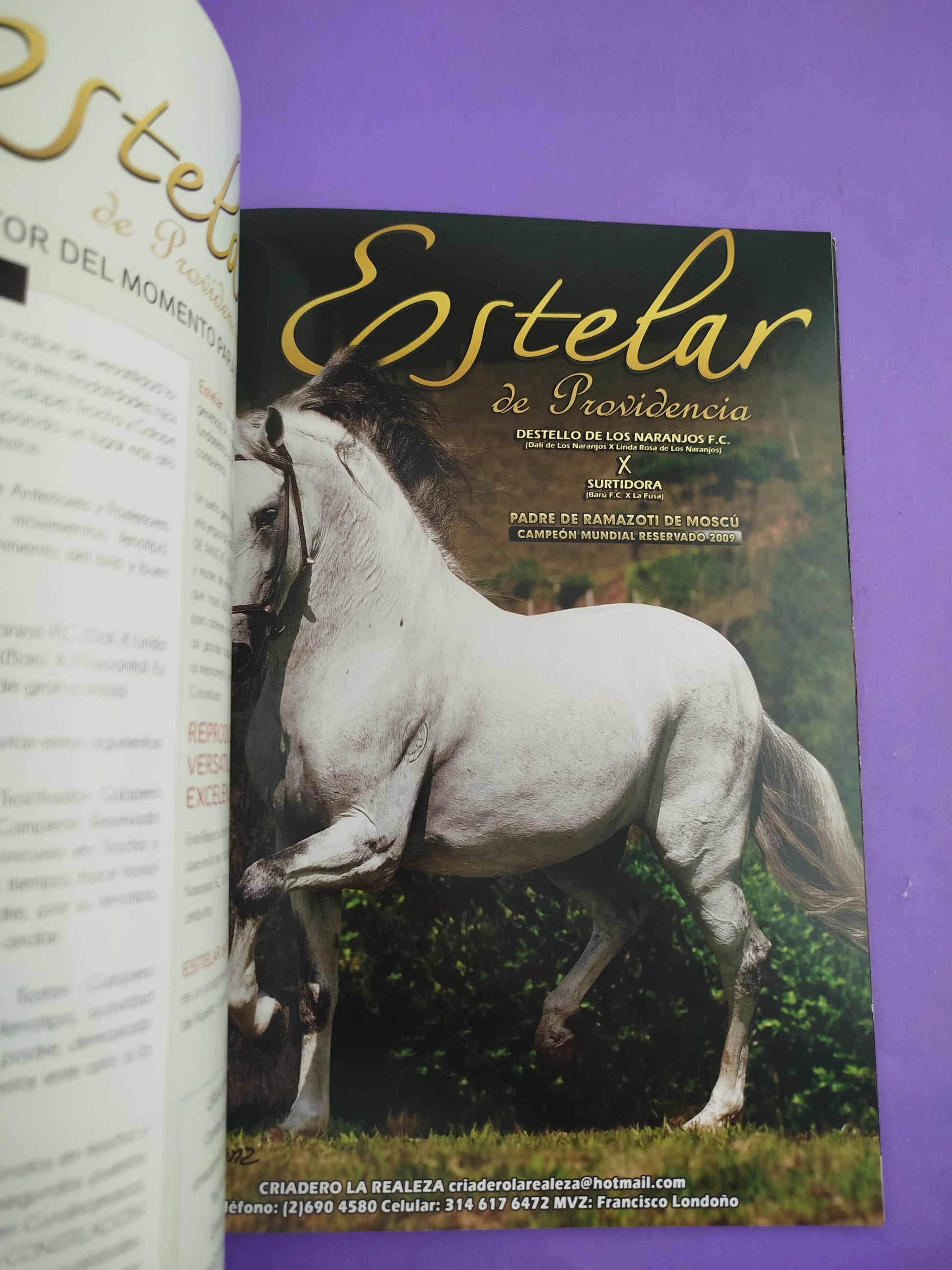 Universo equino. Revista internacional del cabello No.16 by Varios