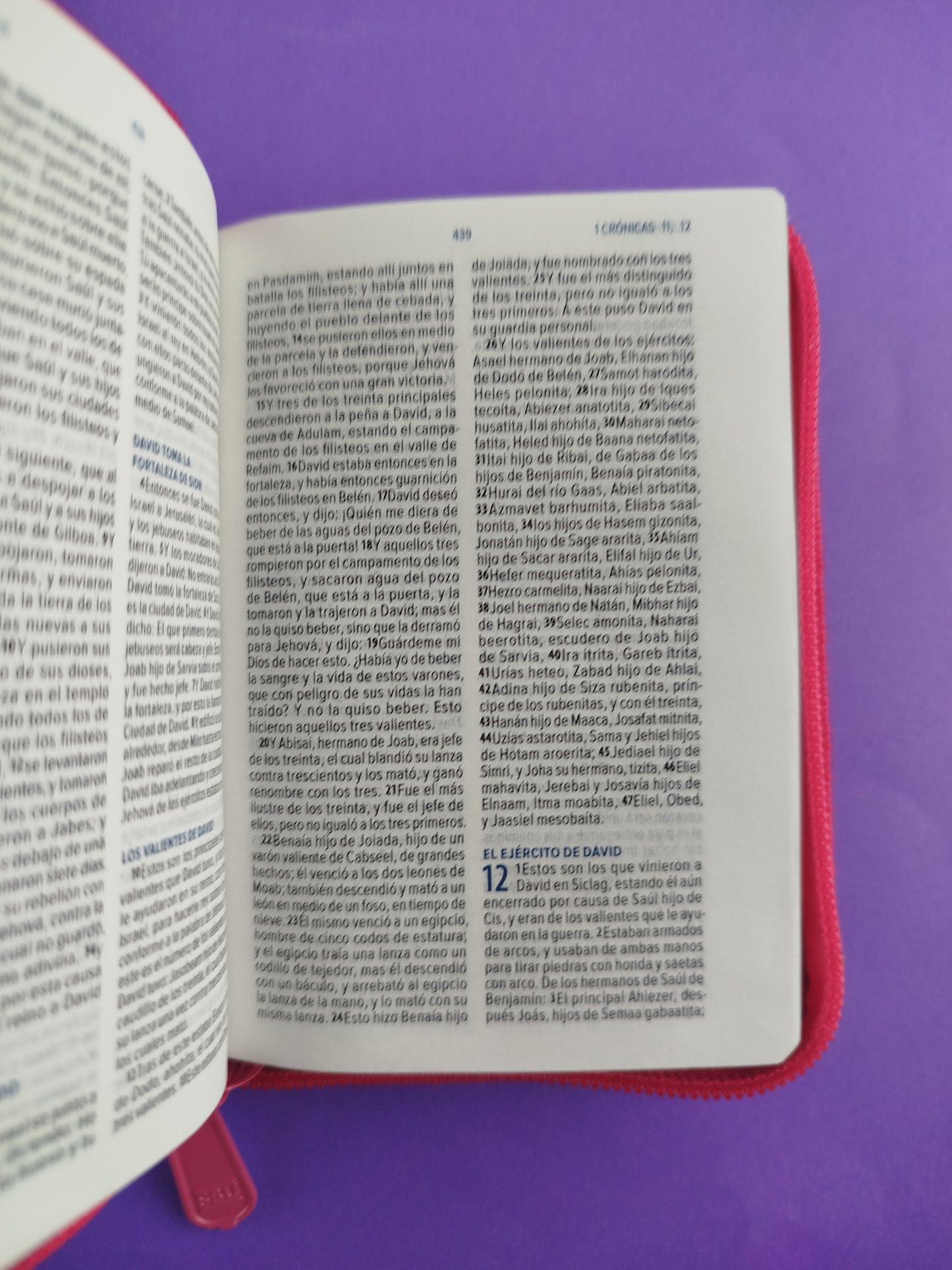 Biblia mini fucsia canto plateado con cierre
