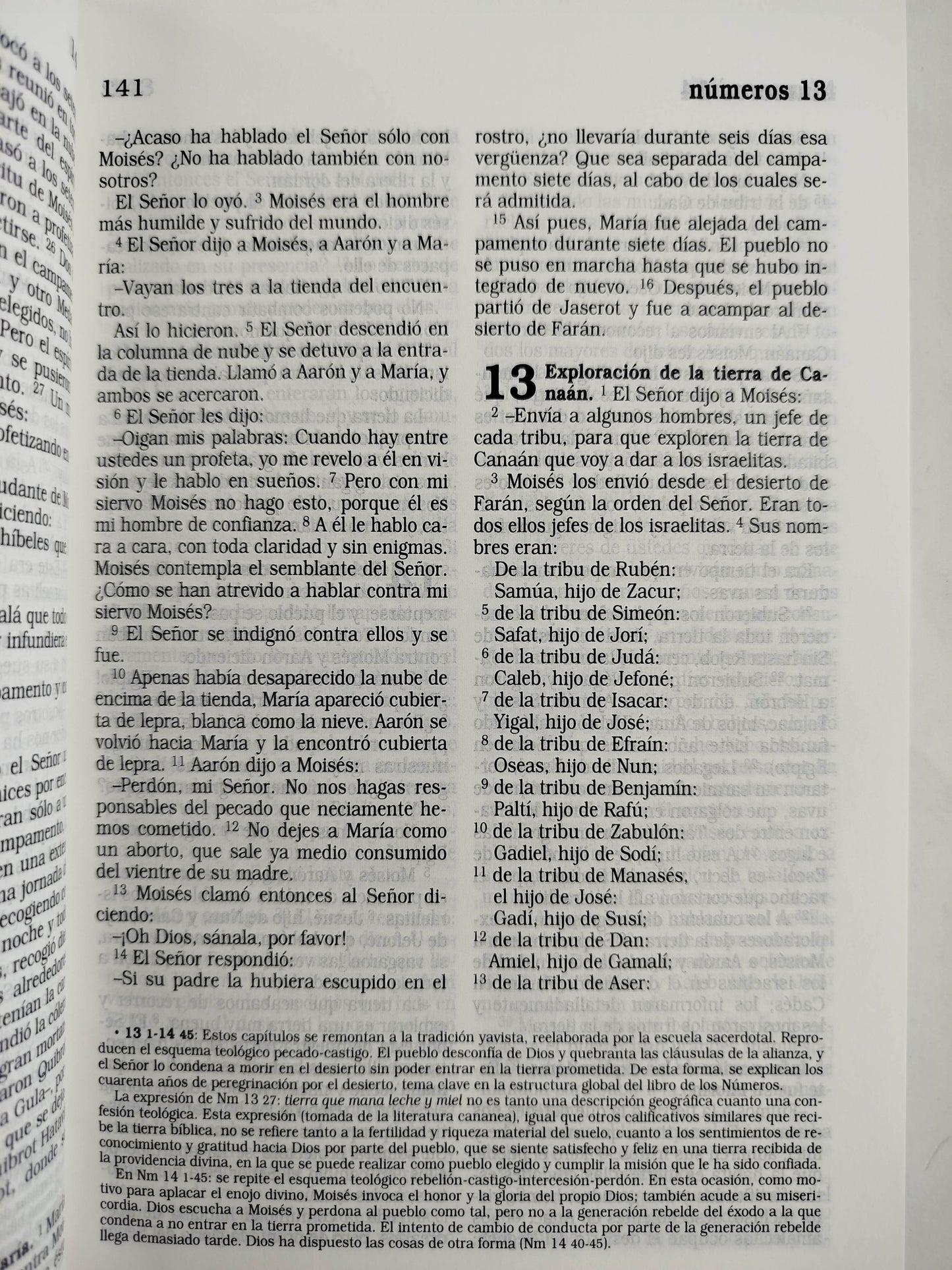 La Biblia Católica: Edición letra grande. Tapa dura, morada con flores by Cipriano Valera