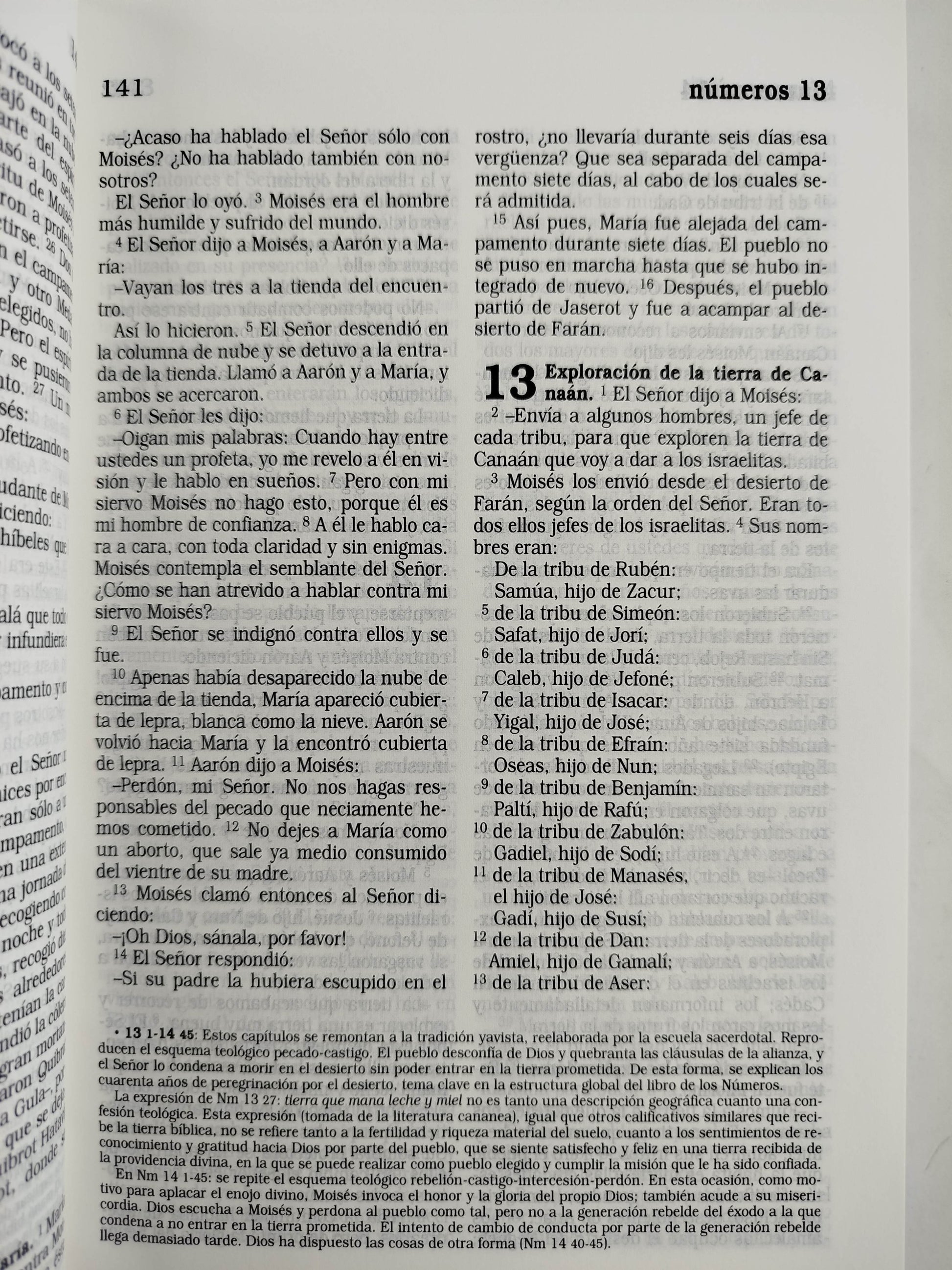 La Biblia Católica: Edición letra grande. Tapa dura, morada con flores by Cipriano Valera