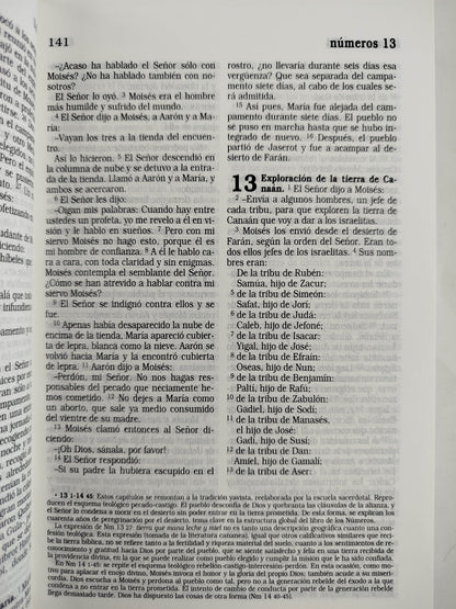 La Biblia Católica: Edición letra grande. Tapa dura, morada con flores by Cipriano Valera