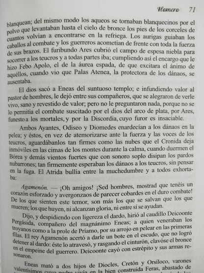 La Ilíada by Homero