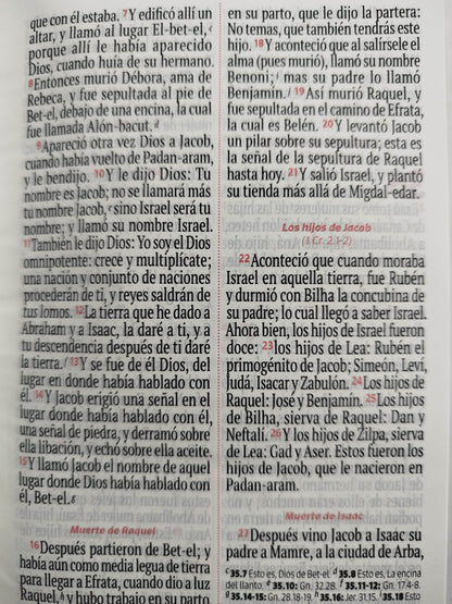 Biblia RVR 1960 letra grande blanca - arcoíris by Reina Valera 1960