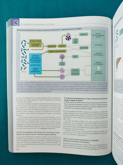 Inmunología octava edición