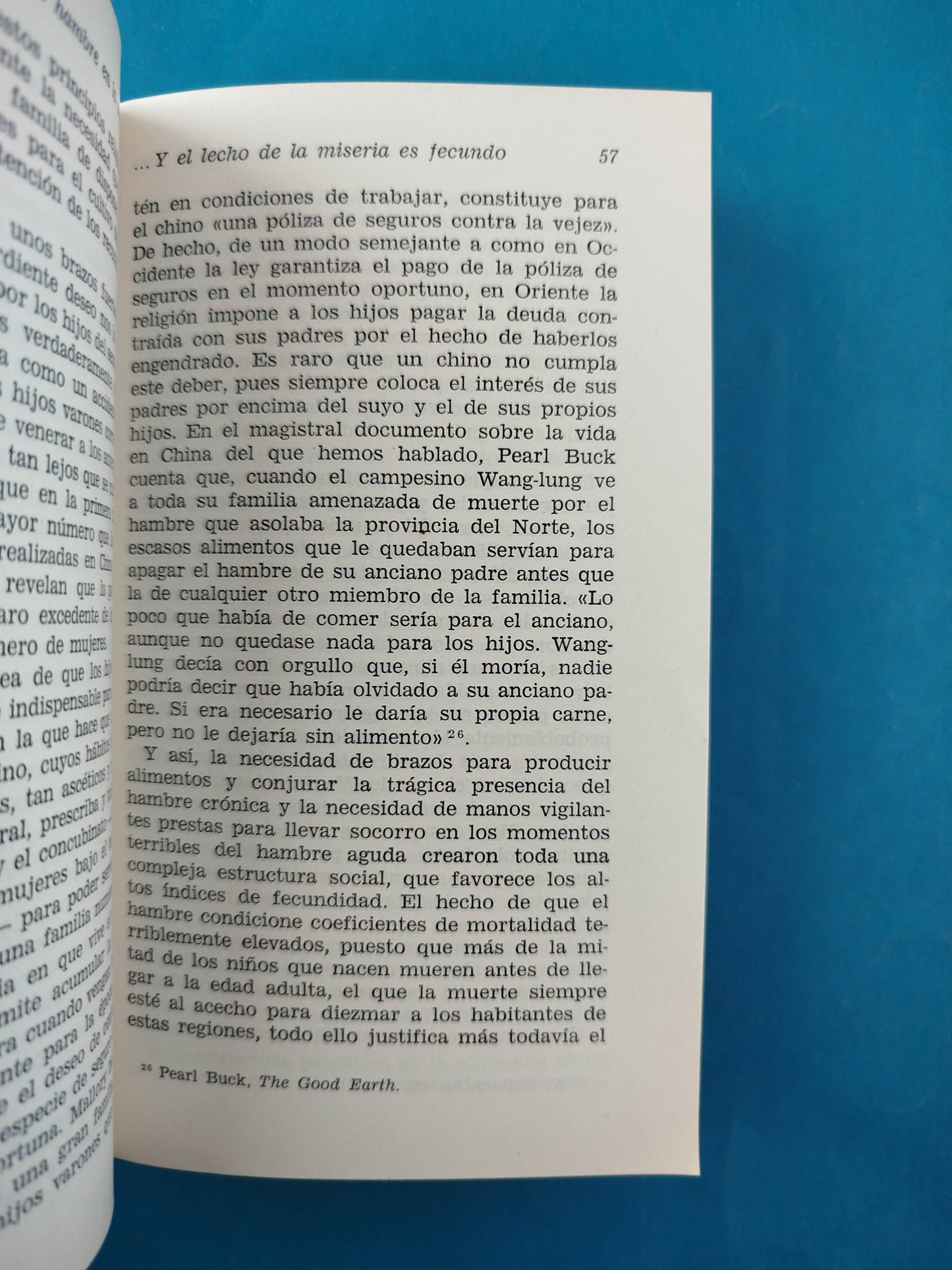 Geopolítica del Hambre II