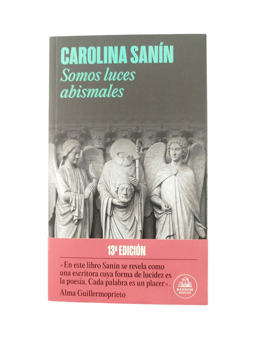 Somos luces abismales by Carolina Sanín