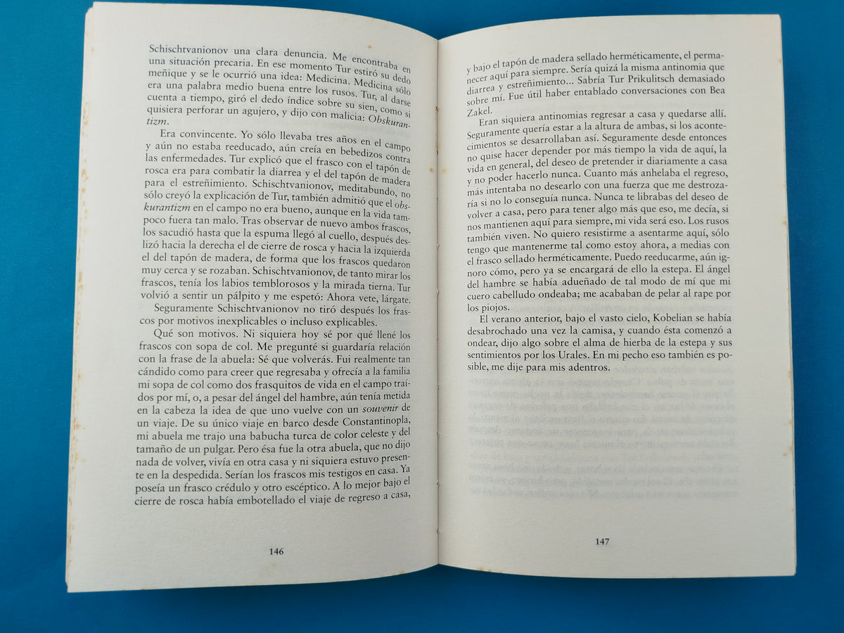 Todo lo que tengo lo llevo conmigo by Herta Müller