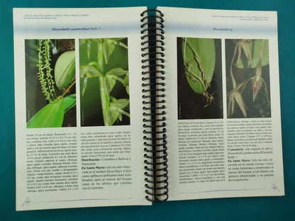 guia de campo de las orquideas de santa maria