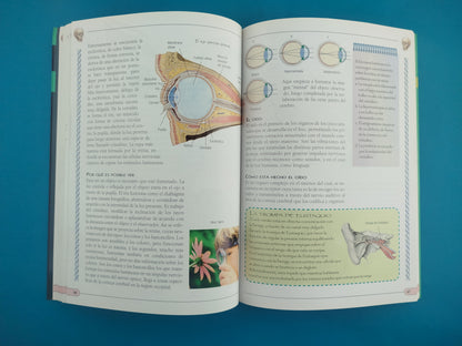 Ciencias Atlas del saber El cuerpo humano by varios Autores