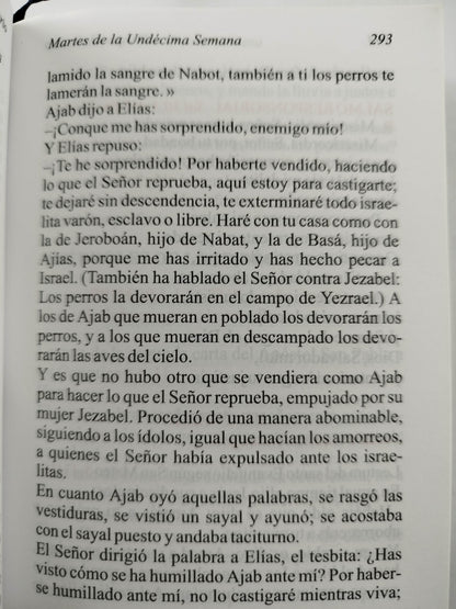Misal diario para el pueblo católico II tomos semanas 1 a 17 by Cardenal Arturo Tabera Araoz