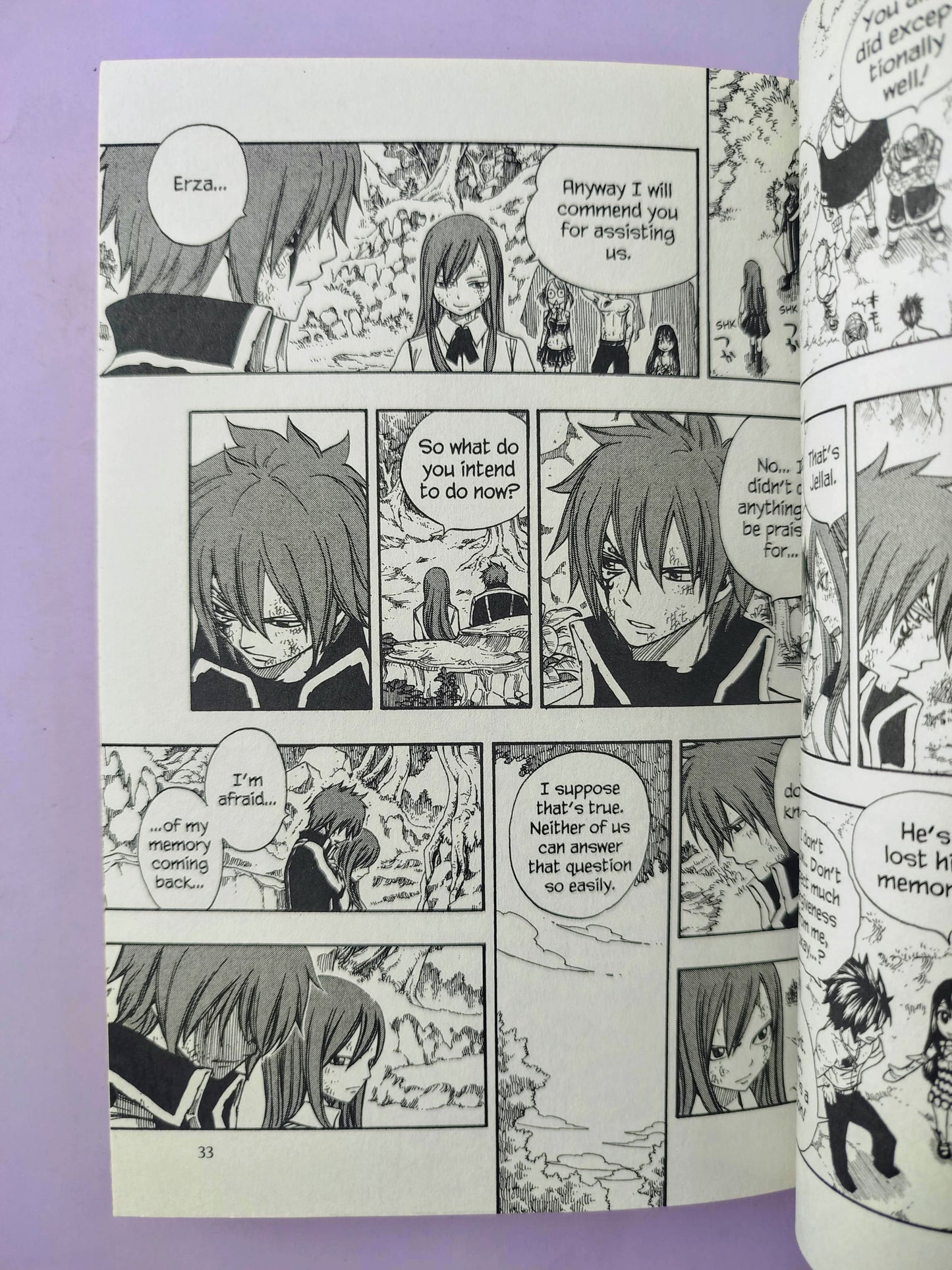Fairy tail N.20