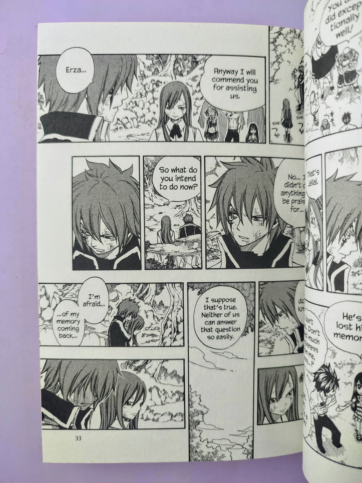 Fairy tail N.20 by Hiro Mashima