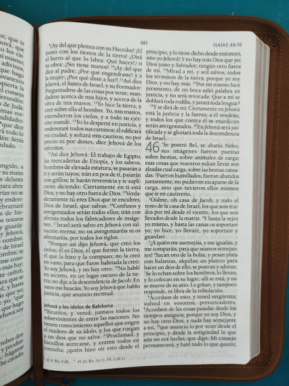 Biblia rvr 1960 letra grande tipo agenda marrón miel con cierre e imágenes de la tierra santa by Reina Valera 1960