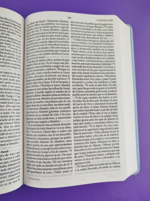 Biblia rvr 1960 nombres de Dios letra grande celeste flores tapa dura by Reina Valera 1960