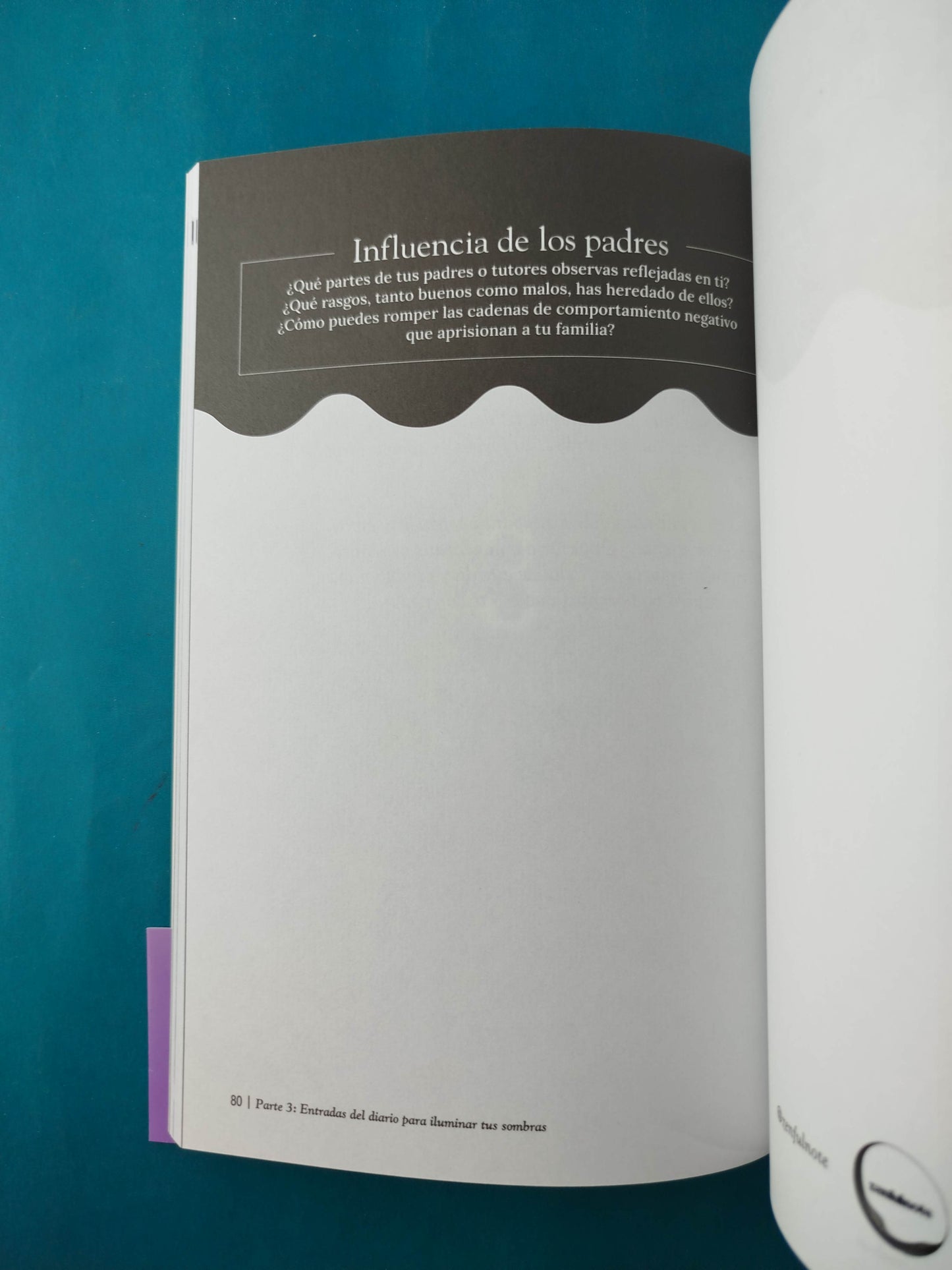 Ilumina Tus Sombras
