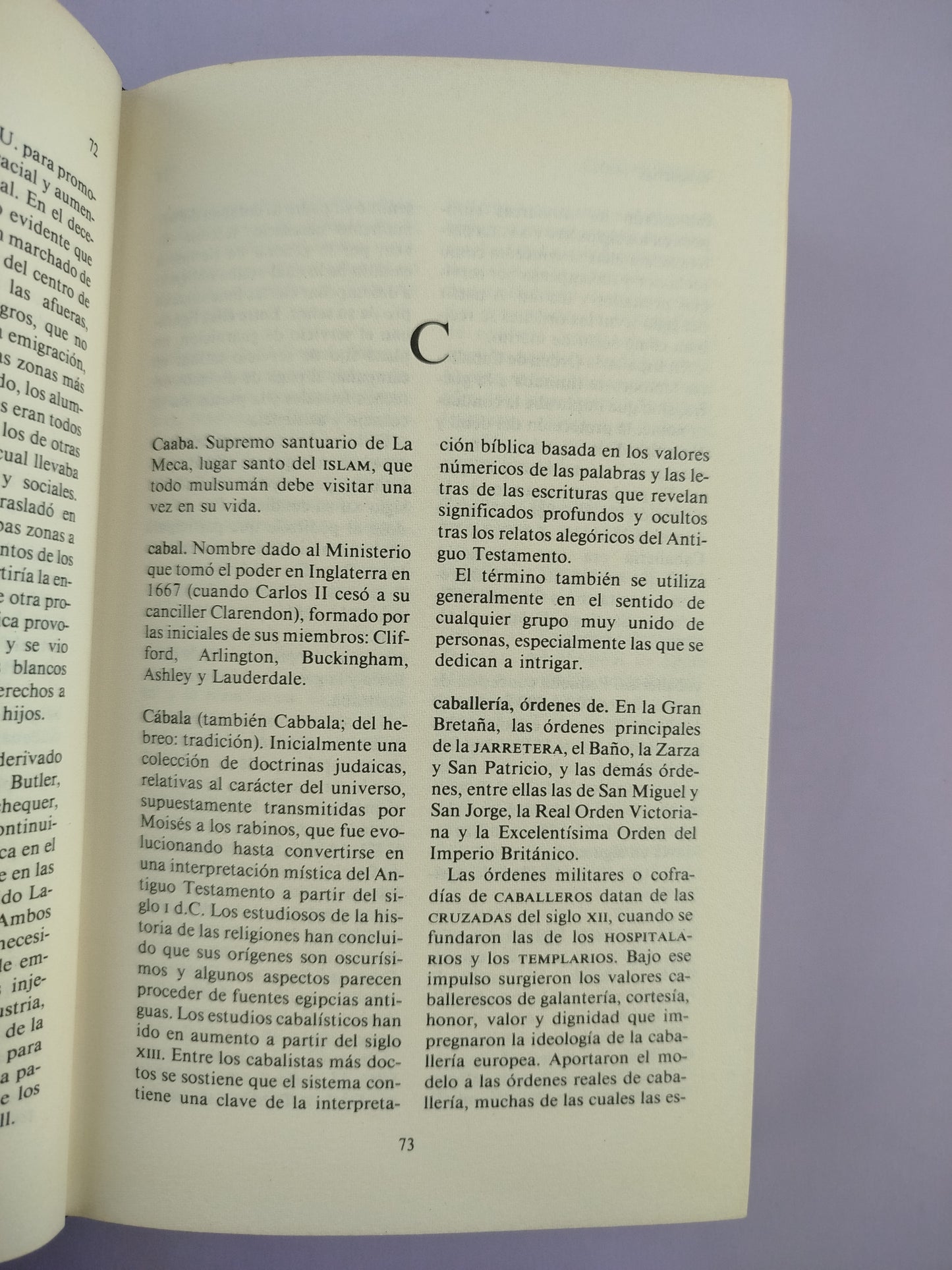 Diccionario de términos Históricos by Chris Cook