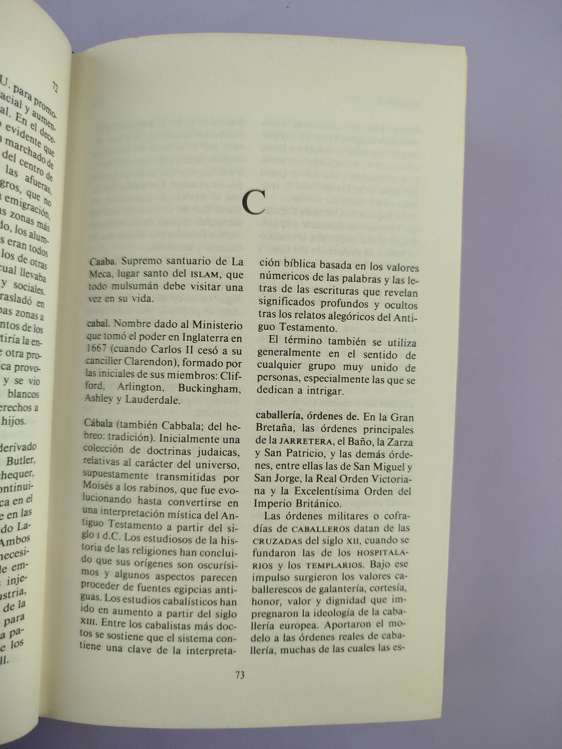 Diccionario de términos Históricos by Chris Cook