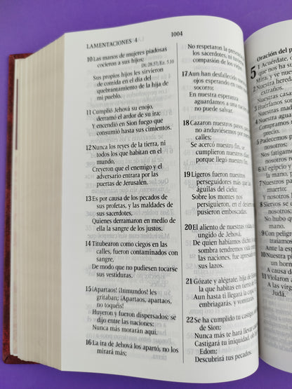 Santa biblia del oso conmemoración caja