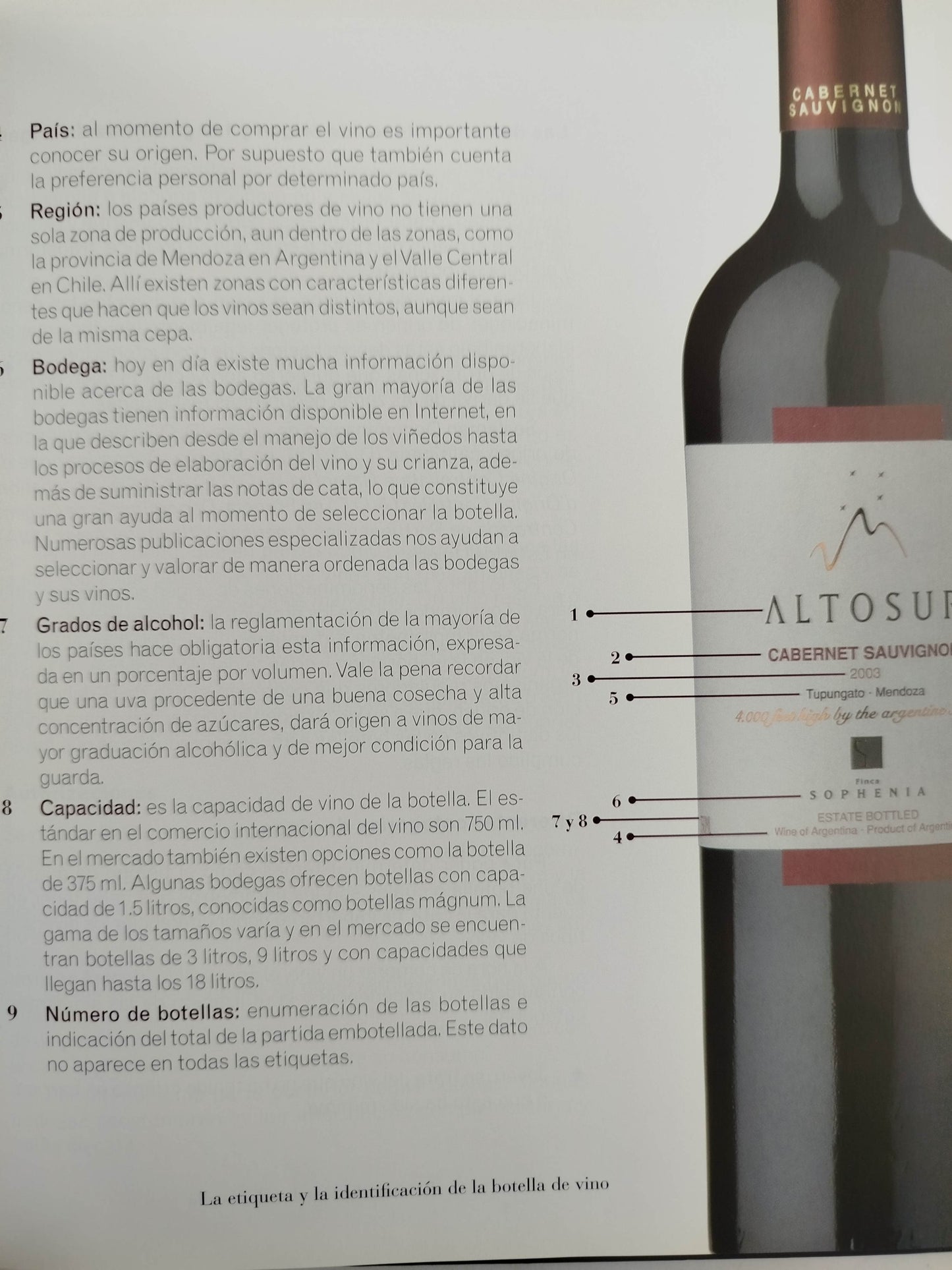 Cata De Vinos Paso A Paso by luis Guillermo Velásquez