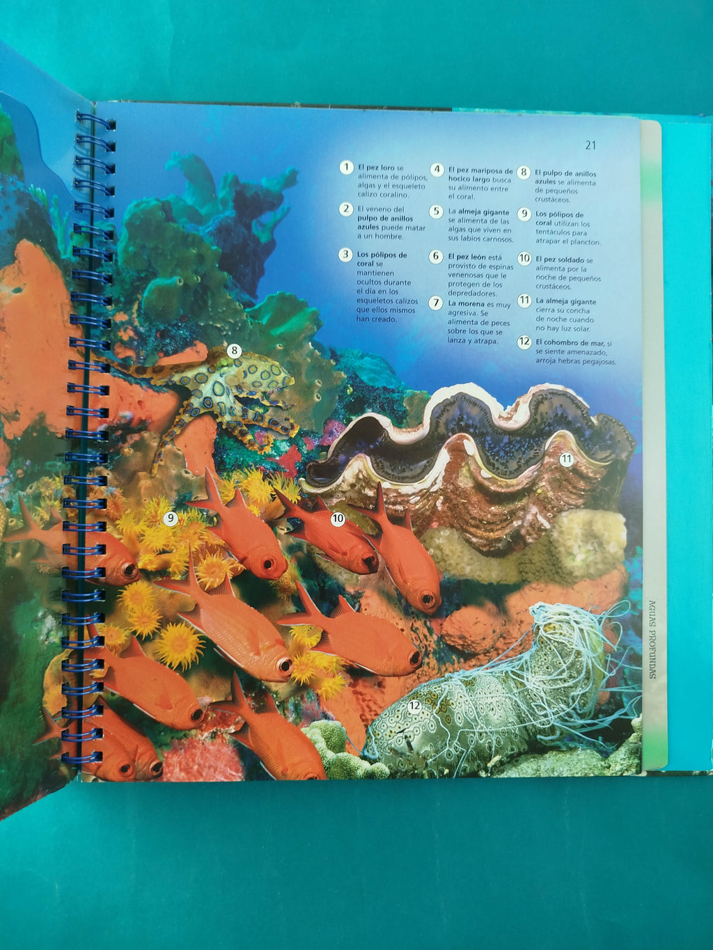 Viajes Fascinantes Océanos by Stephen Savage
