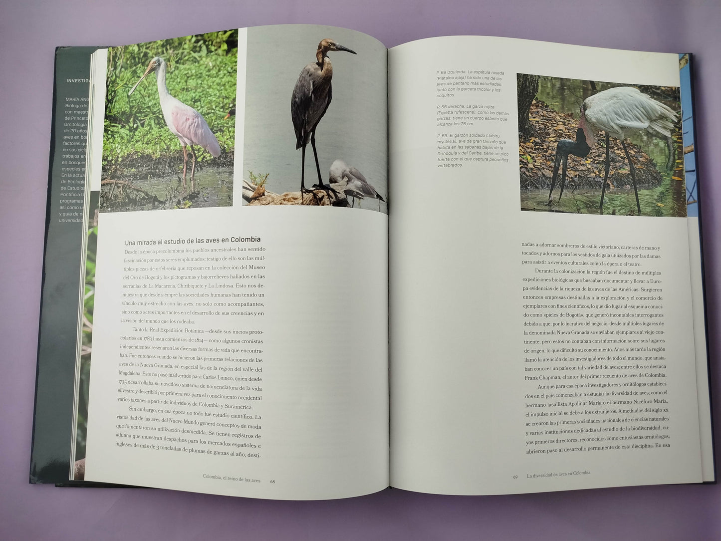 Colombia El Reino De Las Aves