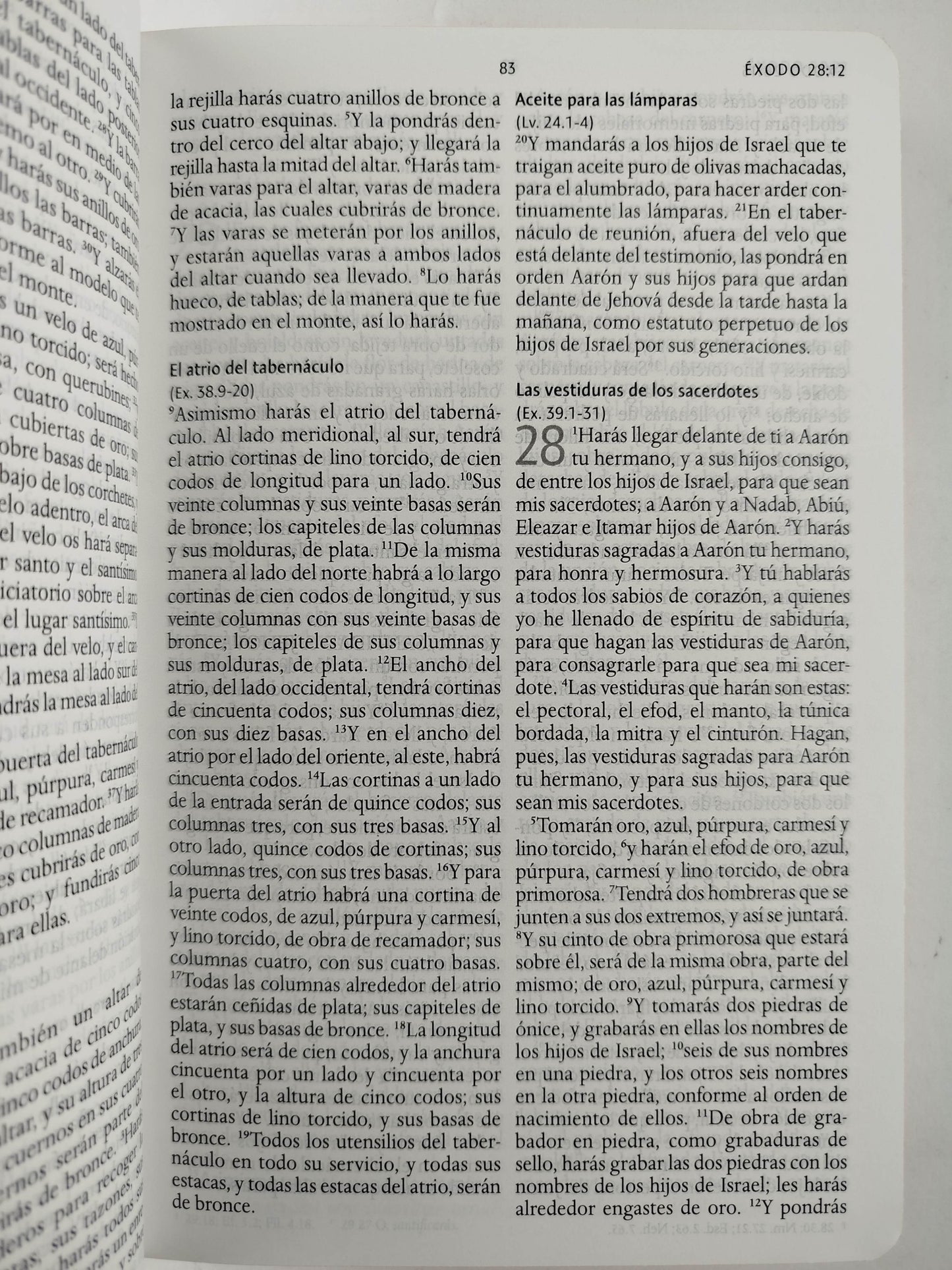 Biblia RVR 1960 letra grande tamaño manual, HC, flores rosadas y cantos pintados by Cipriano Valera