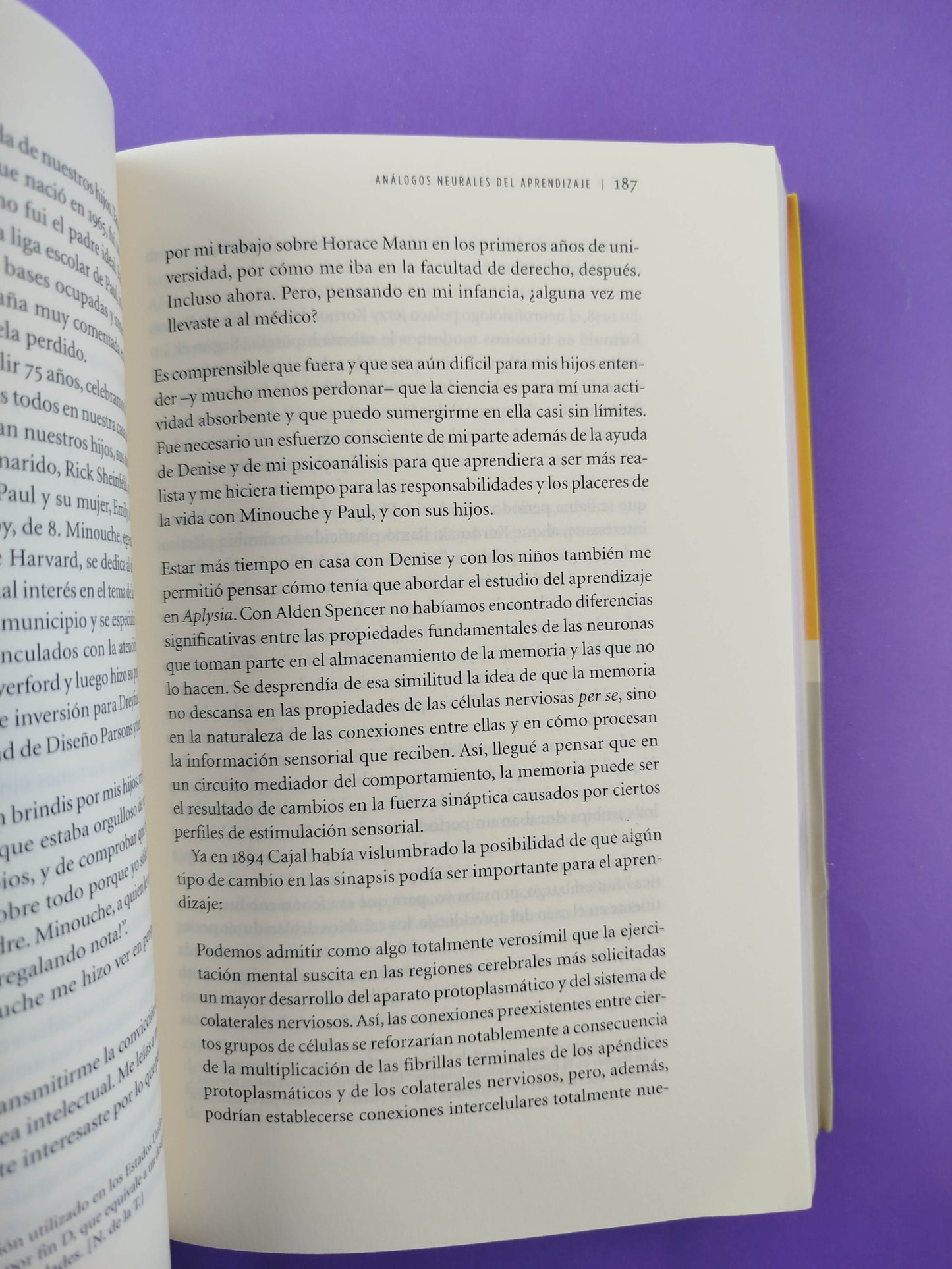 En busca de la memoria