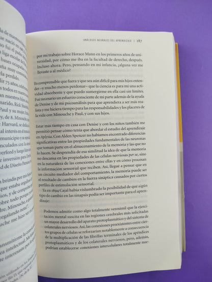 En busca de la memoria