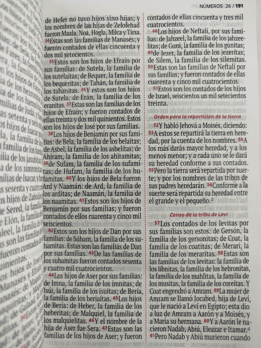 Biblia RVR 1960 letra grande rosada -blanco by Reina Valera 1960