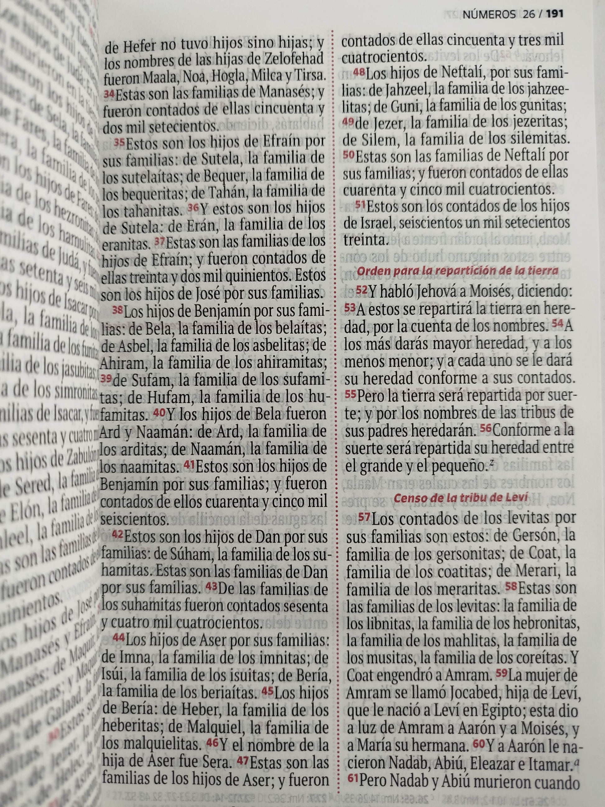 Biblia RVR 1960 letra grande rosada -blanco by Reina Valera 1960