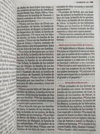 Biblia RVR 1960 letra grande rosada -blanco by Reina Valera 1960