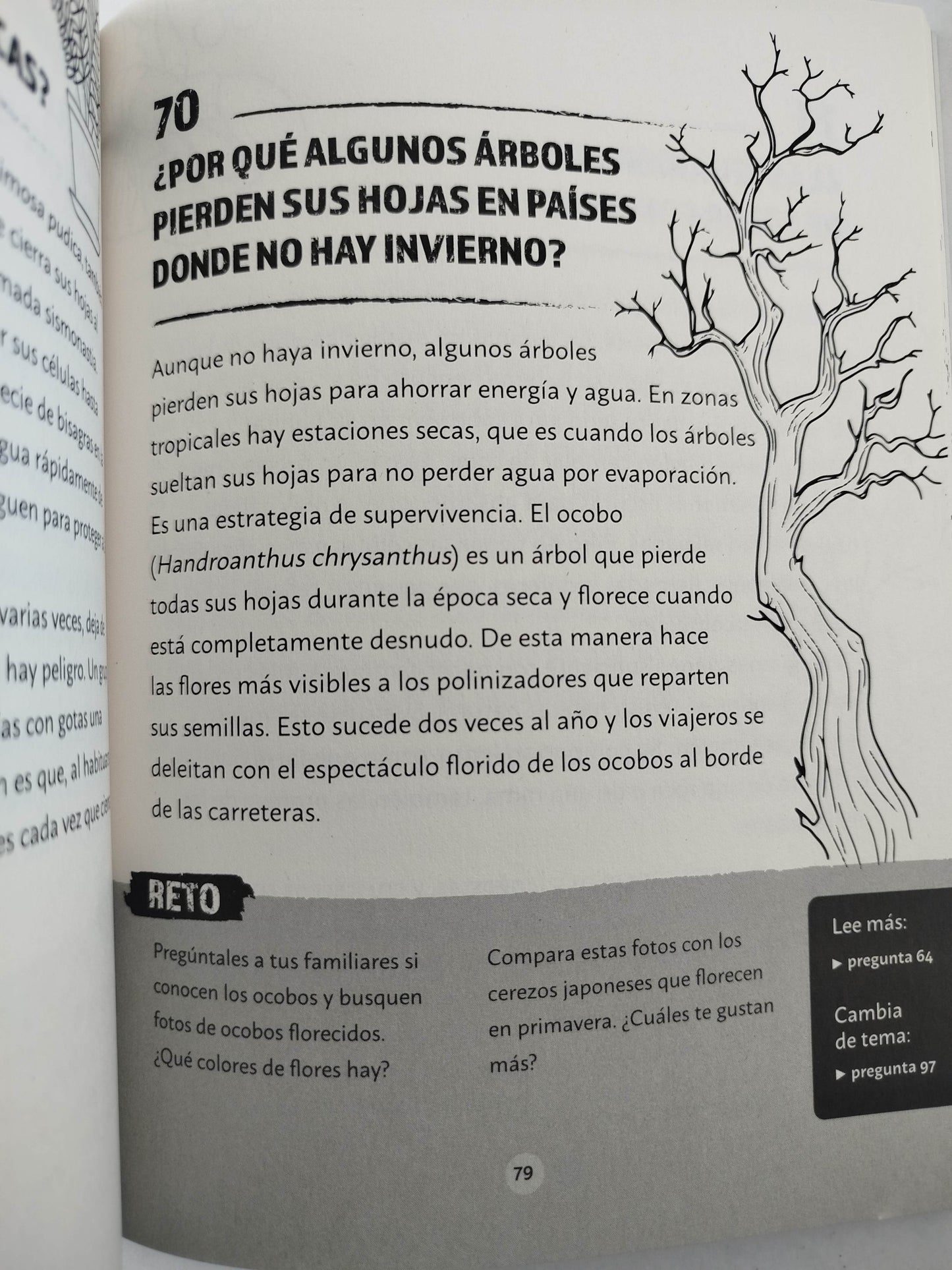 Preguntas salvajes para volarte la cabeza by Liliana López Kleine