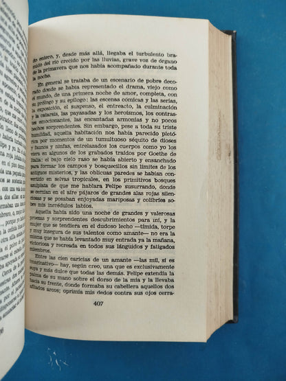 El Lago De Las Damas