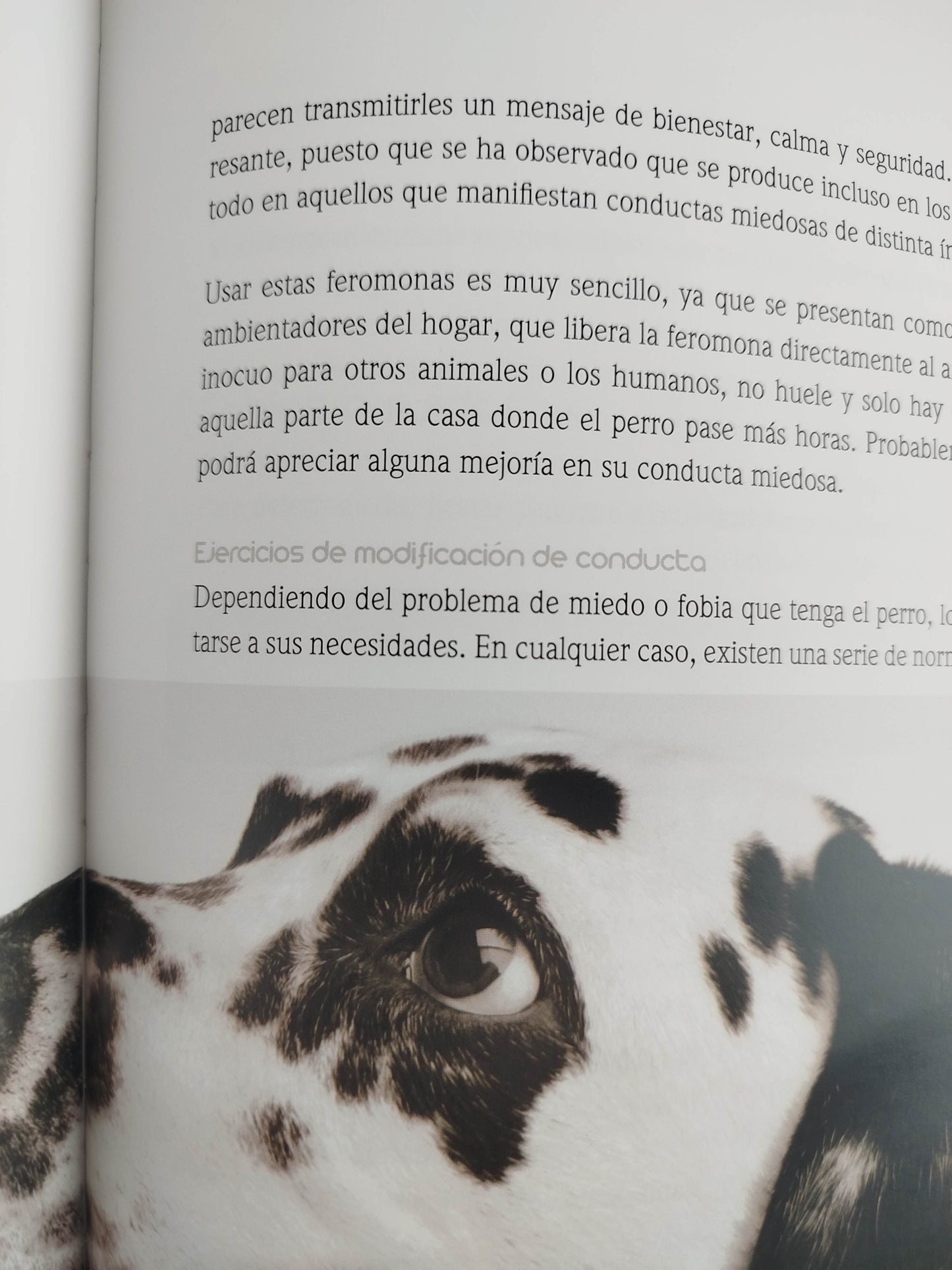 El encantador de perros 10 un buen comportamiento by Carlos Rodriguez
