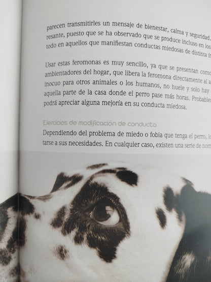 El encantador de perros 10 un buen comportamiento by Carlos Rodriguez