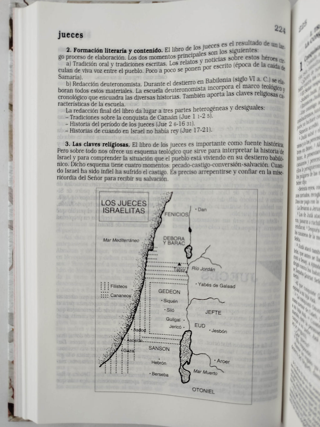 La Biblia Católica: Edición letra grande. Tapa dura, Tela rosada con flores by Cipriano Valera