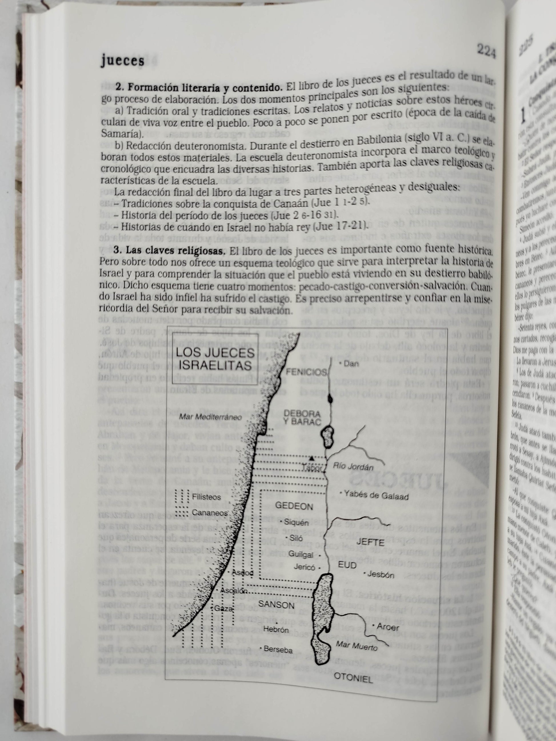 La Biblia Católica: Edición letra grande. Tapa dura, Tela rosada con flores by Cipriano Valera