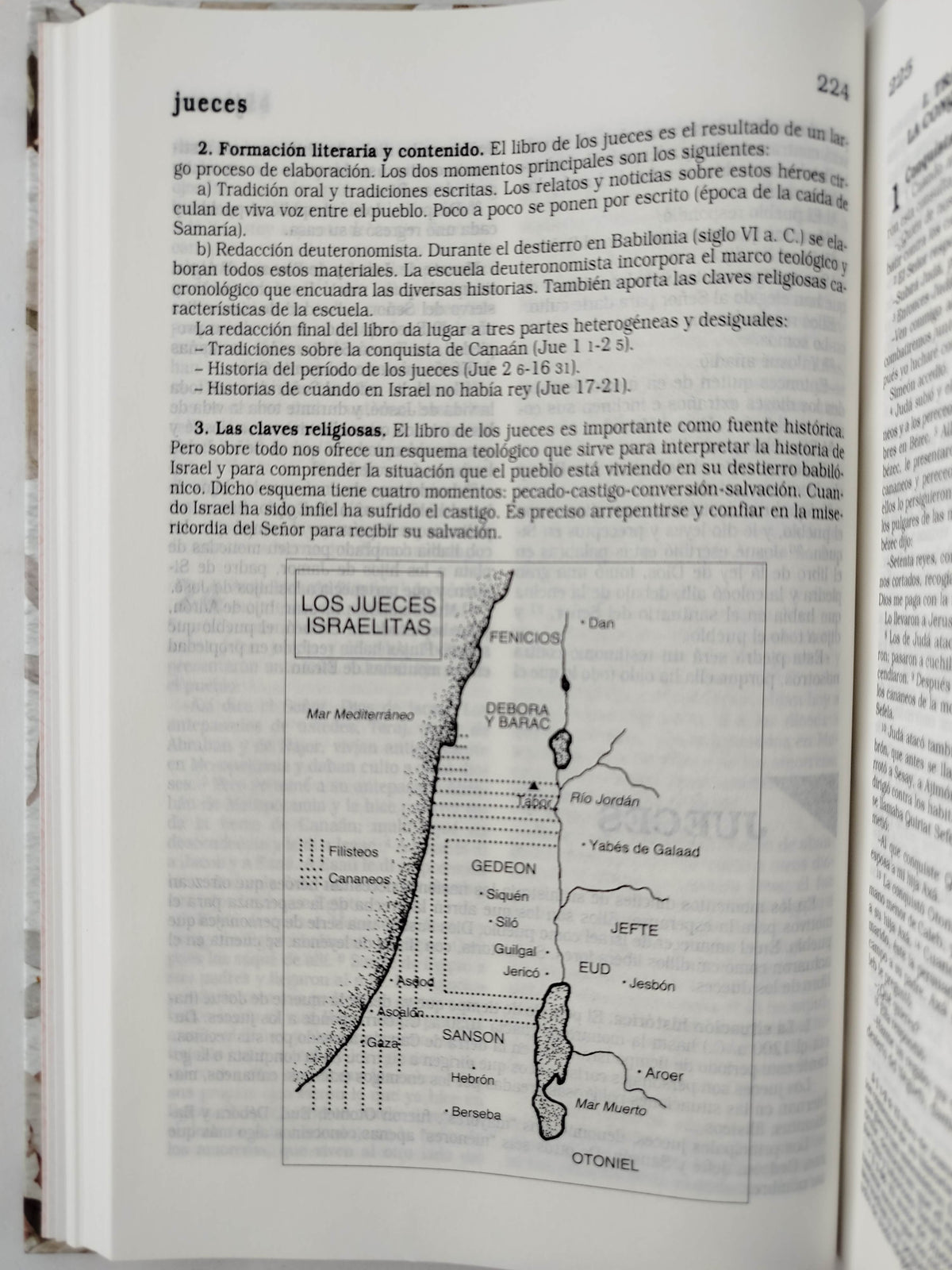 La Biblia Católica: Edición letra grande. Tapa dura, Tela rosada con flores by Cipriano Valera