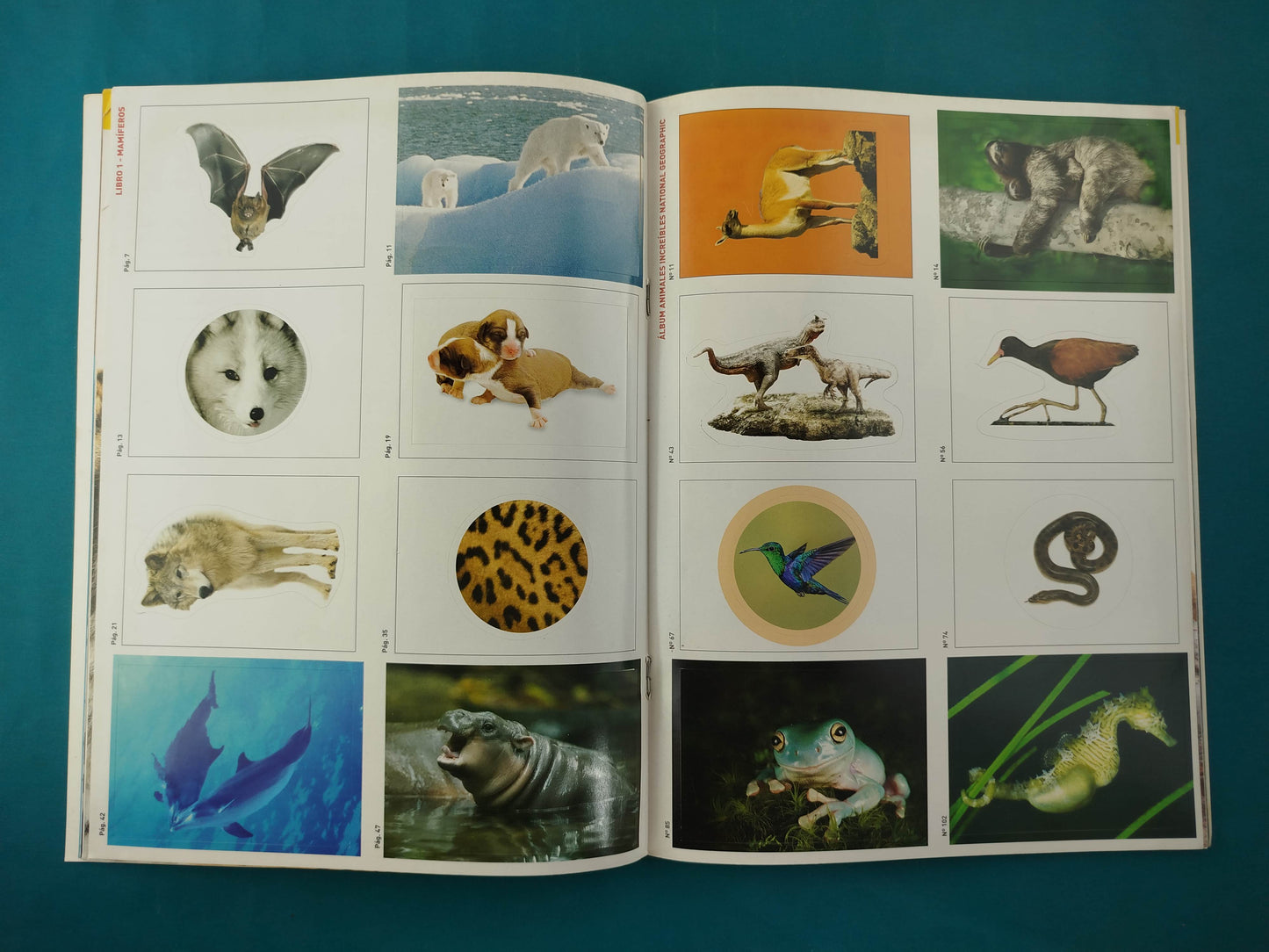 Mi Primera Enciclopedia Los Mamíferos