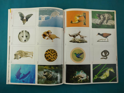 Mi Primera Enciclopedia Los Mamíferos