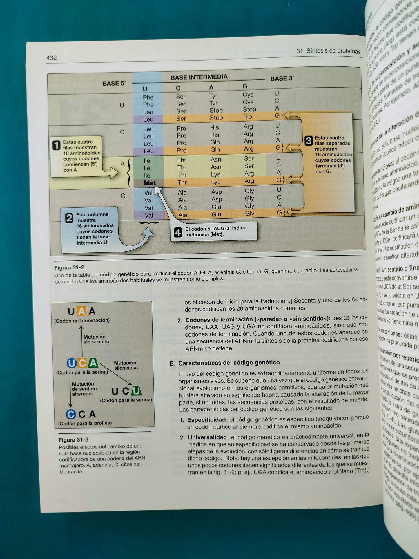 Lippincot´s illustrated reviews bioquímica sexta edición