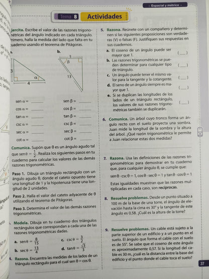 Ideas matemáticas 10 by varios