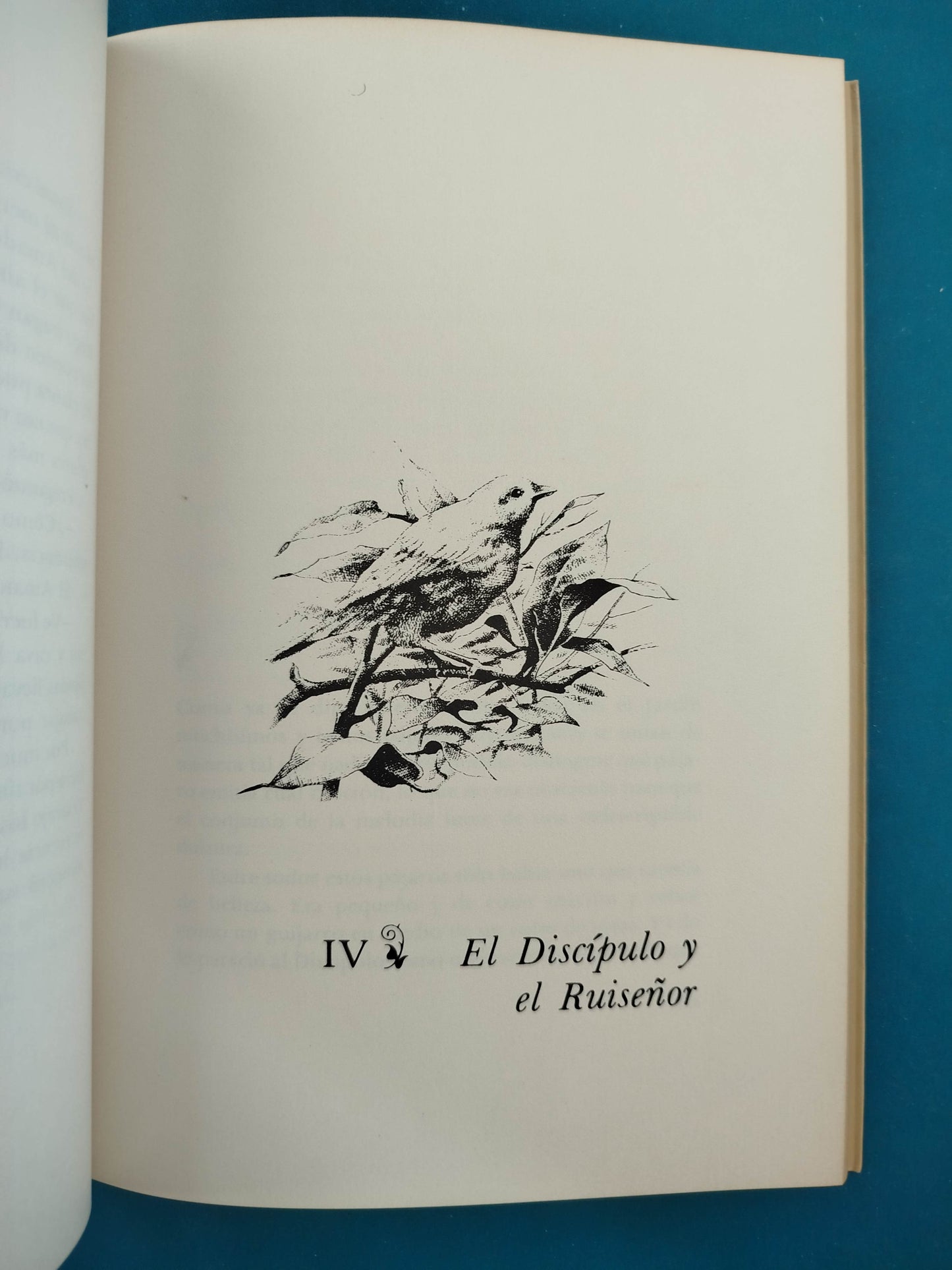 El jardín del amado