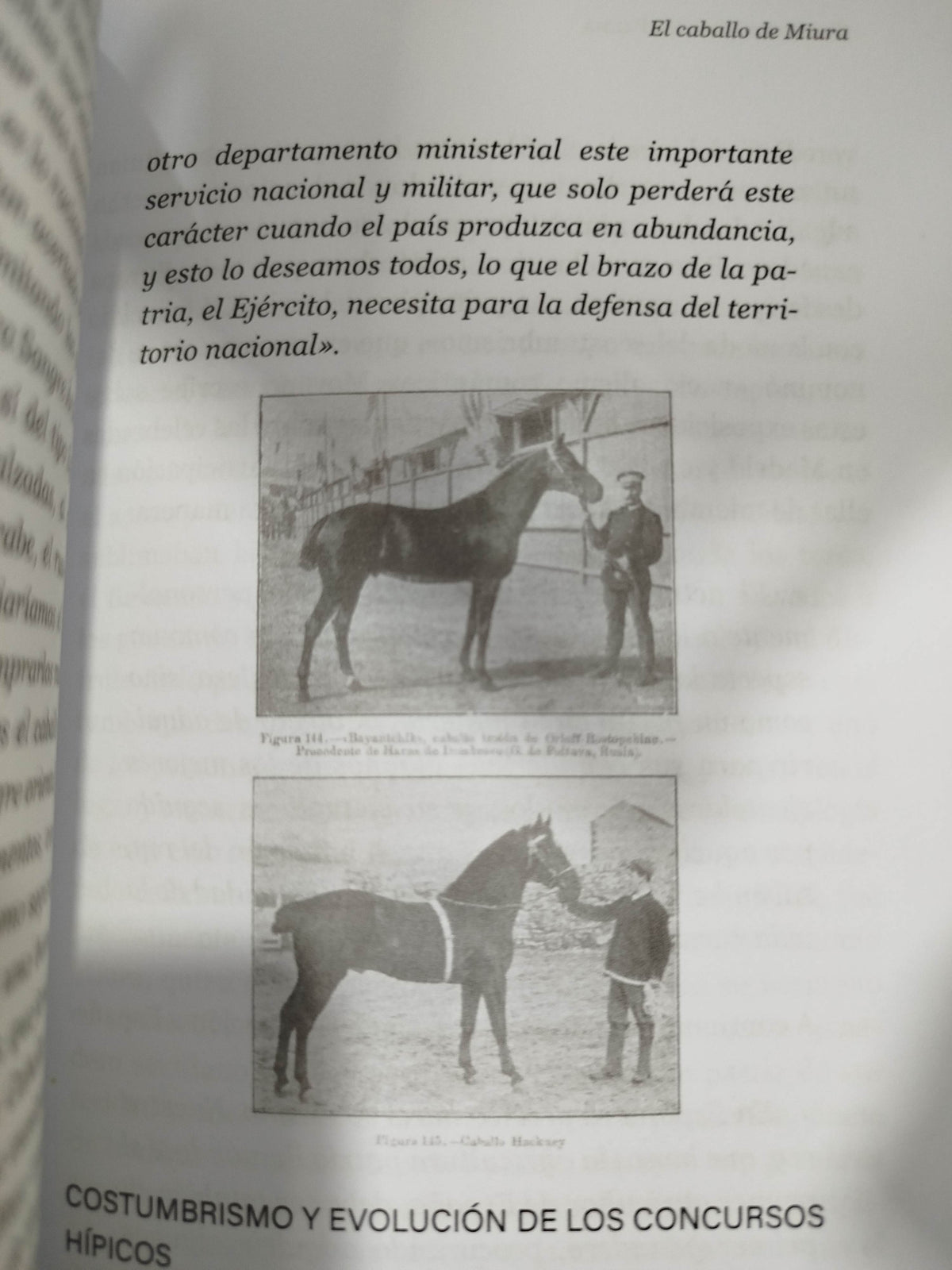 El caballo de miura by Guillermo García Palma