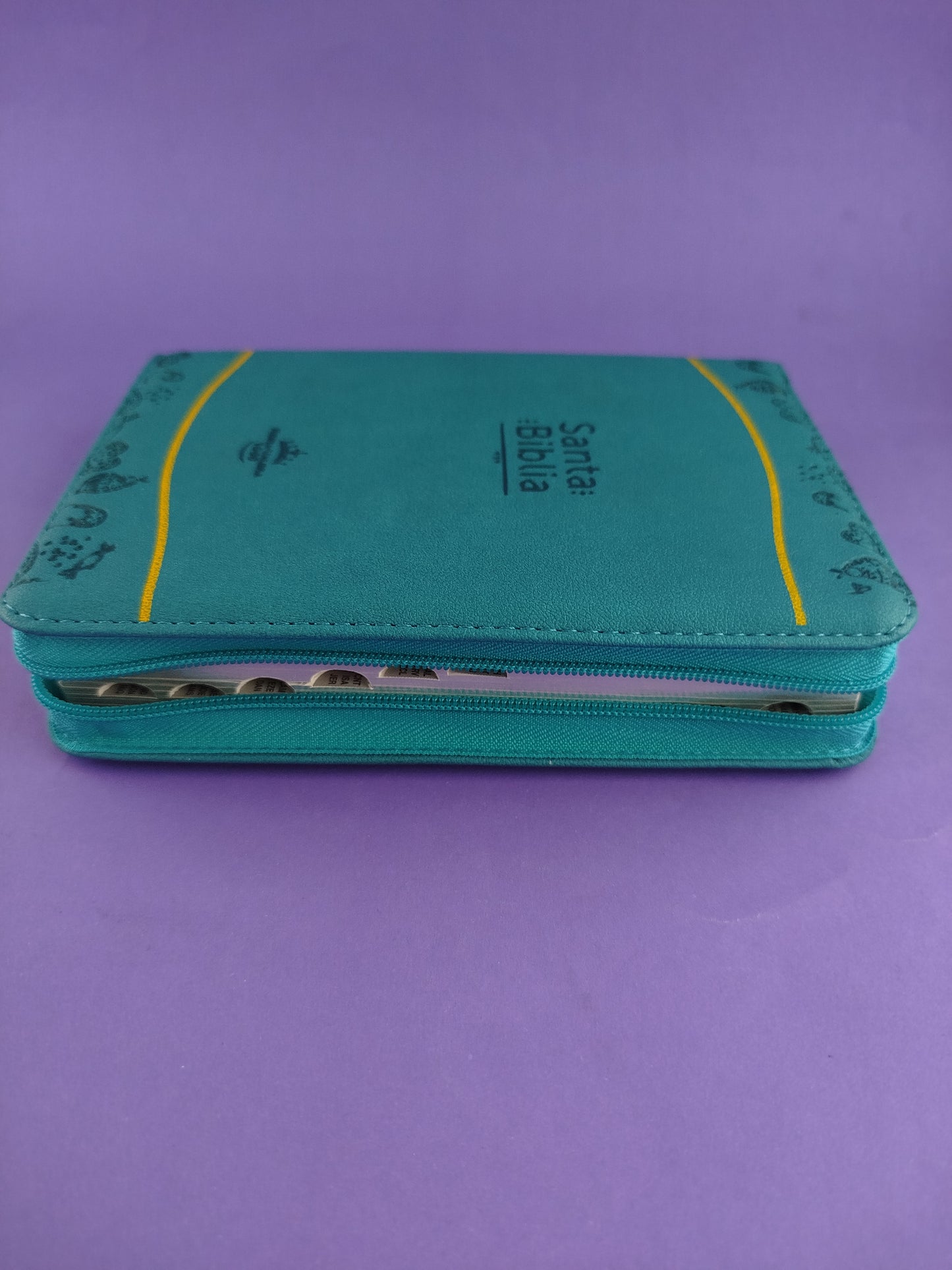 BIiblia rvr 60 azul amarilla troquelada
